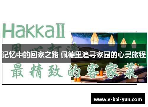 记忆中的回家之路 佩德里追寻家园的心灵旅程